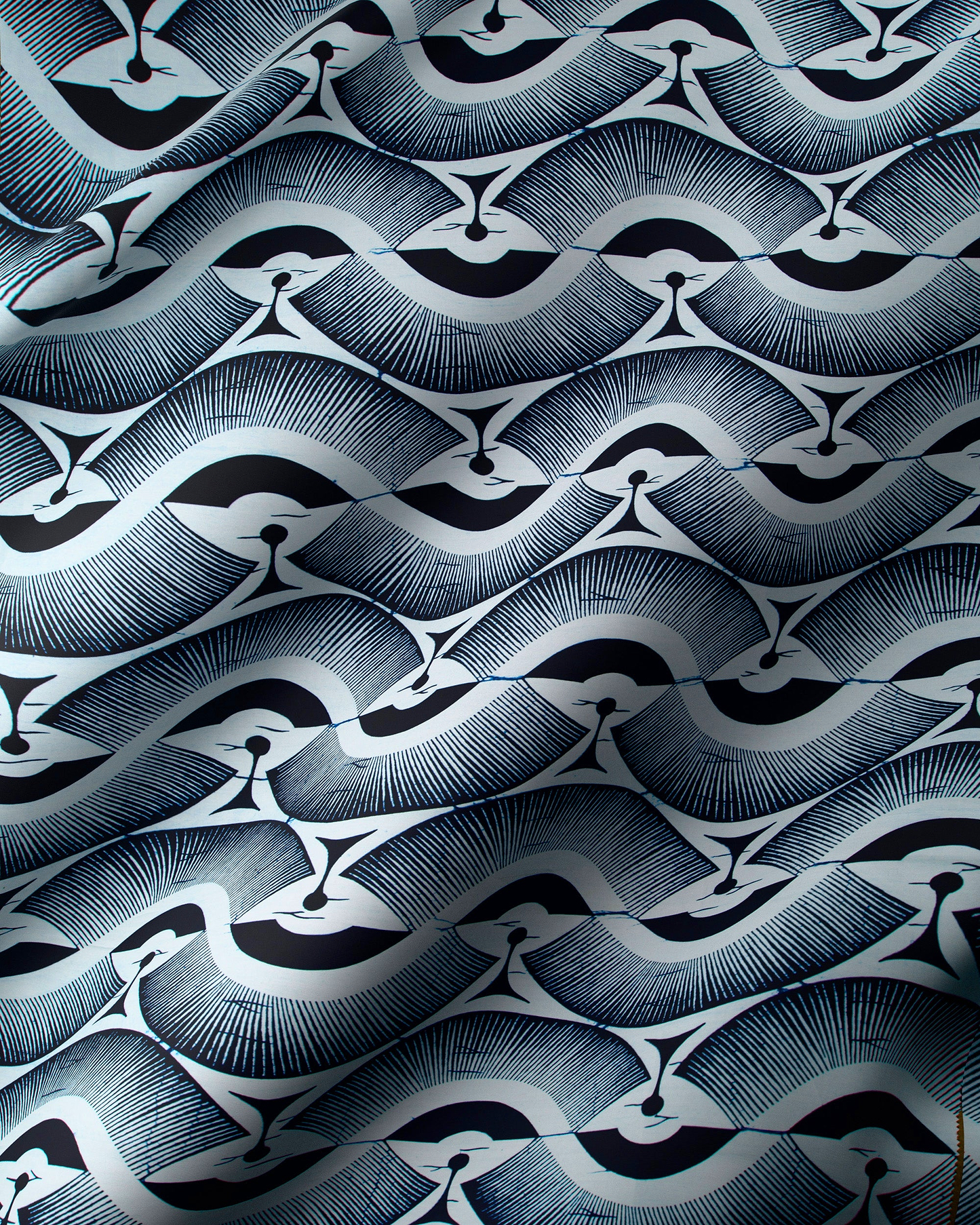 Wax Poplin | VLW2975.013