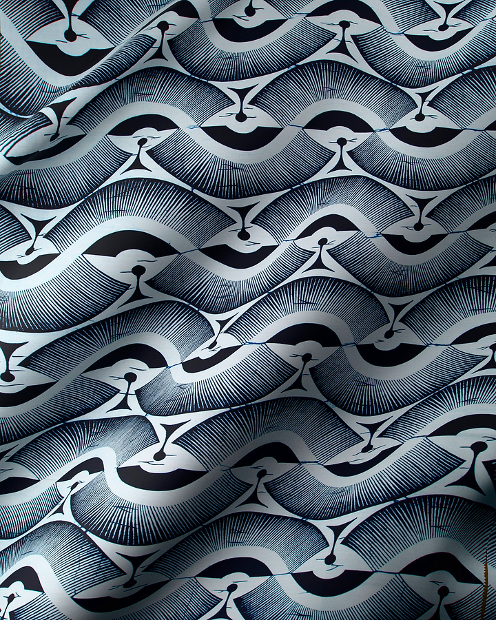 Wax Poplin | VLW2975.013