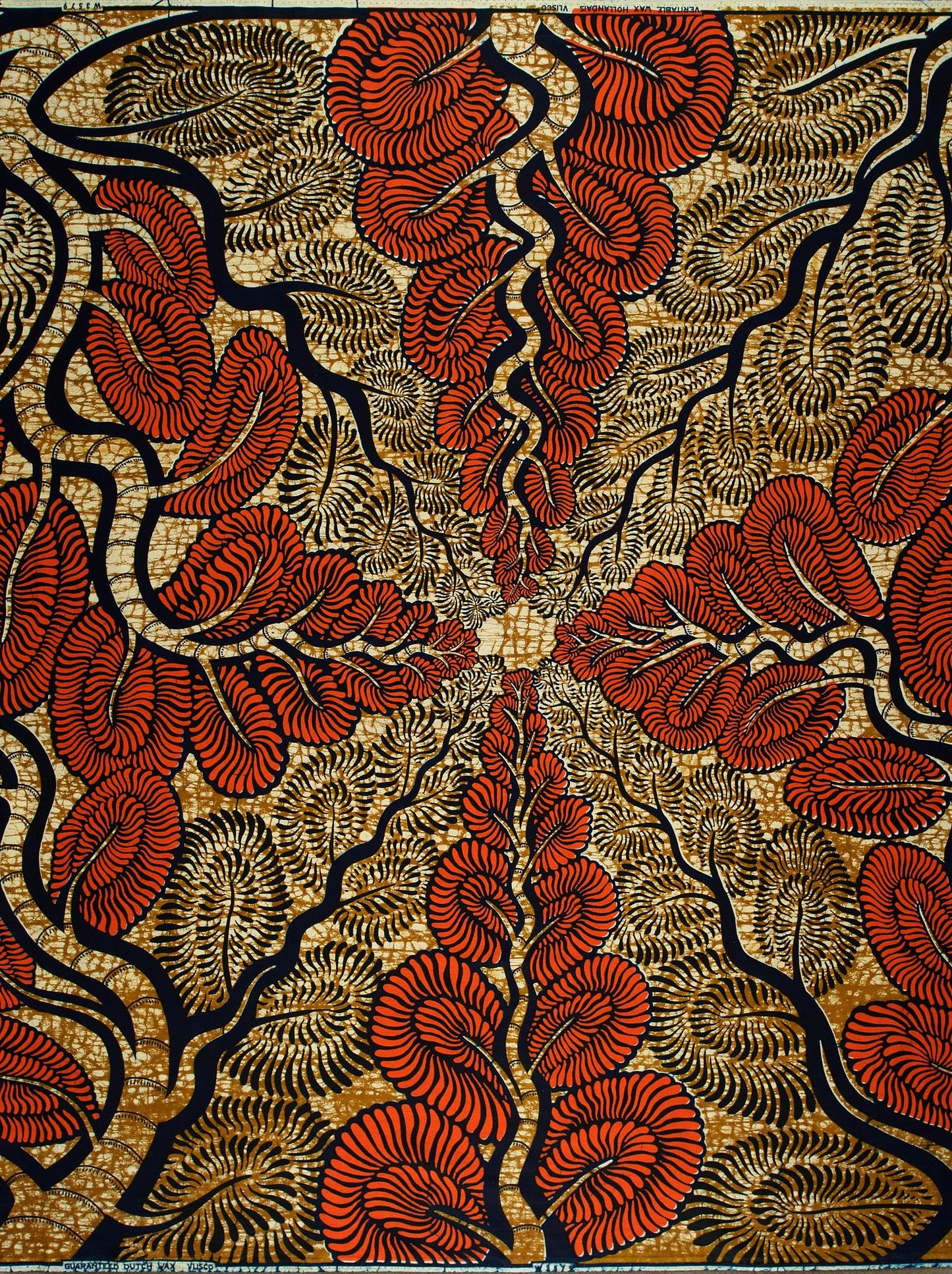 Wax Hollandais | VLW3579.007