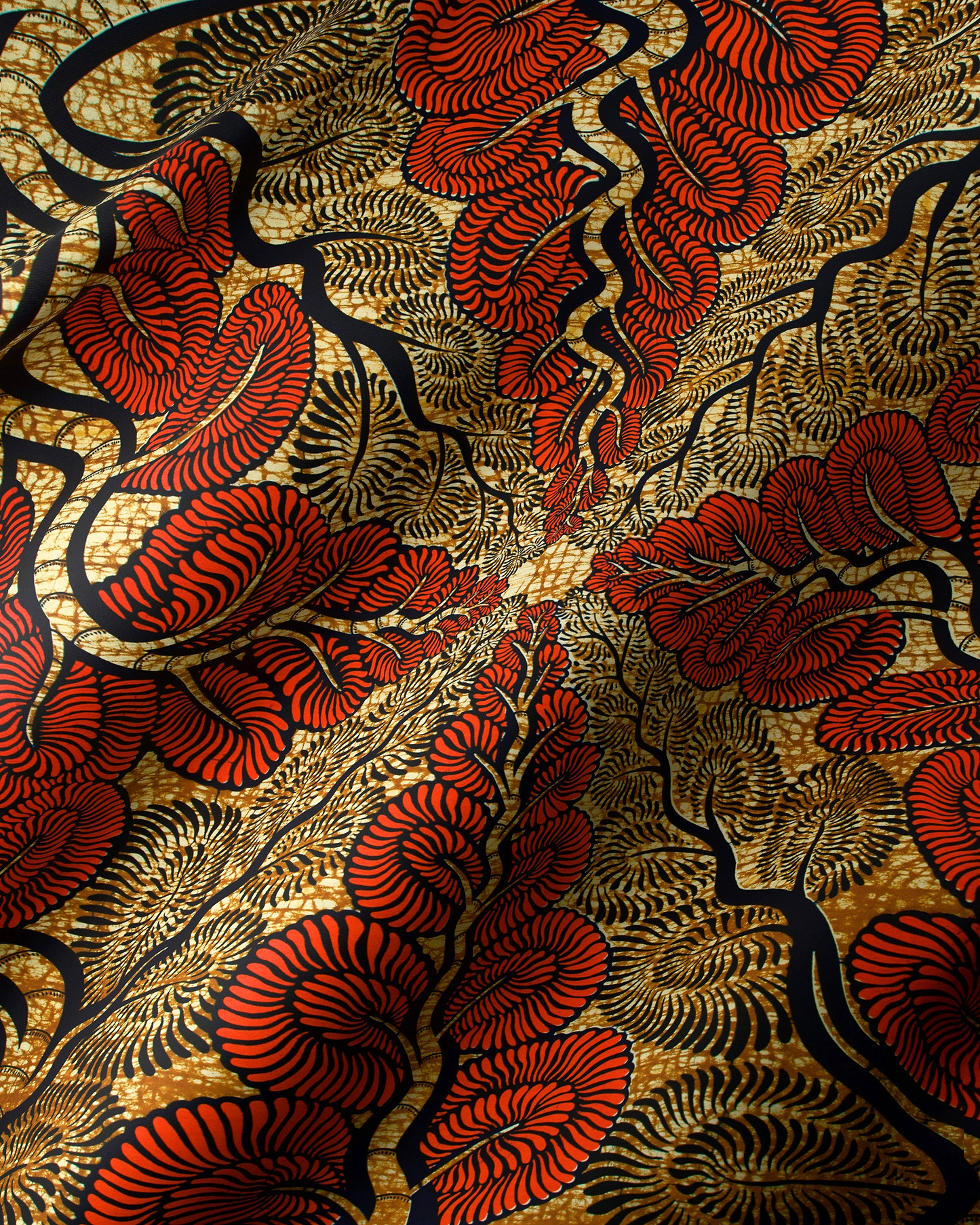 Wax Hollandais | VLW3579.007