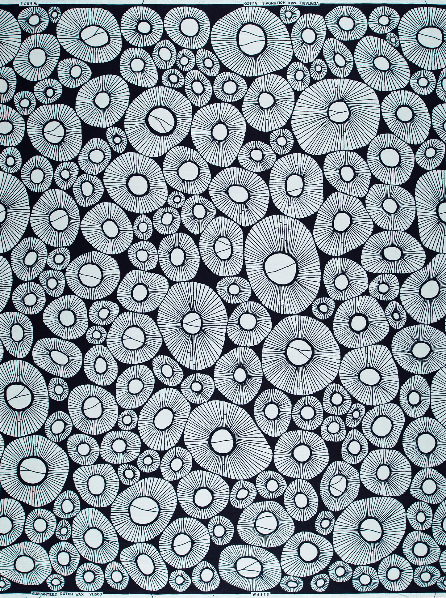 Wax Popeline | VLW6875.021