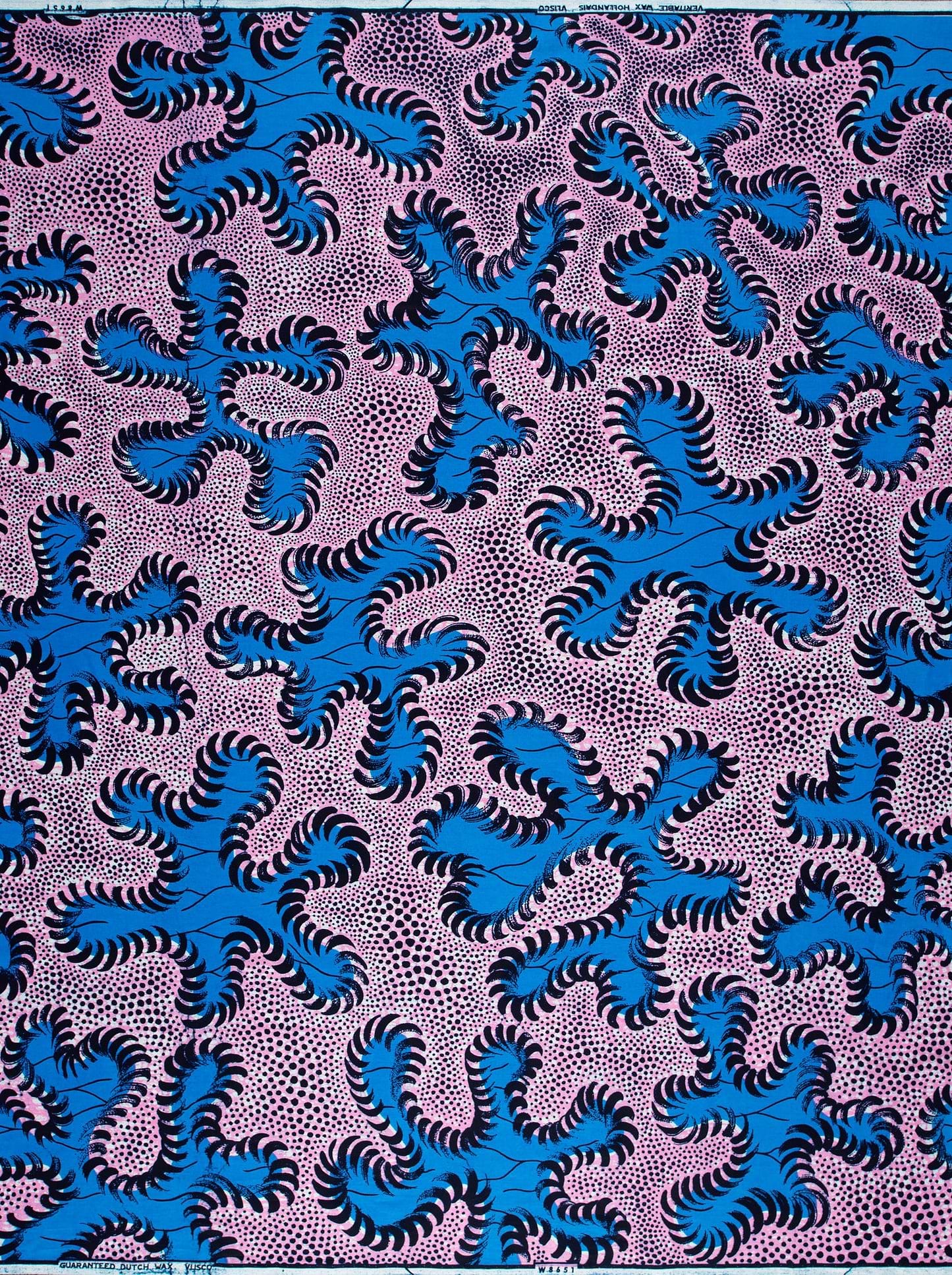 Wax Hollandais | VLW8651.003