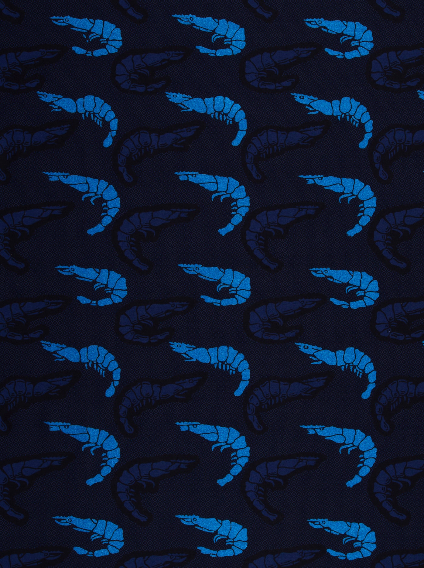 Sky Wax | VL01149.154 | Royal Blue Embellished