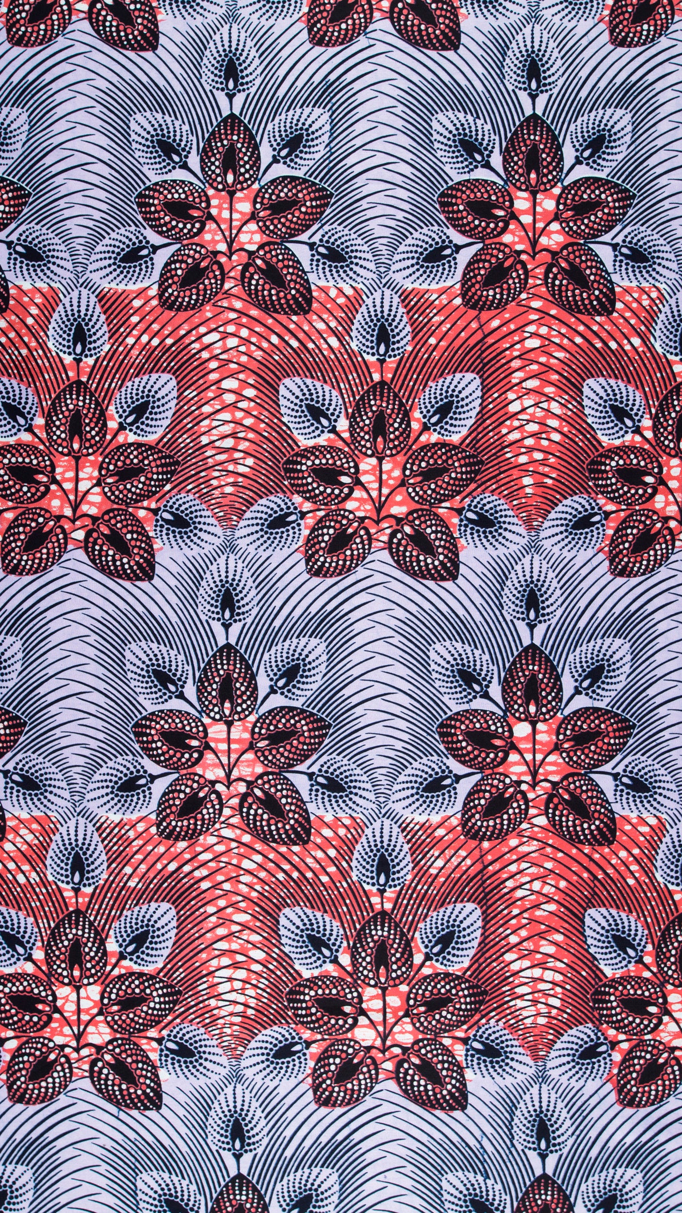 Wax Hollandais | VL03049.018