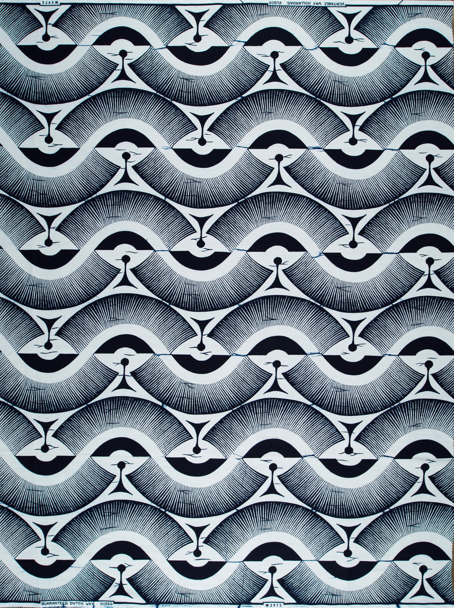 Wax Poplin | VLW2975.013