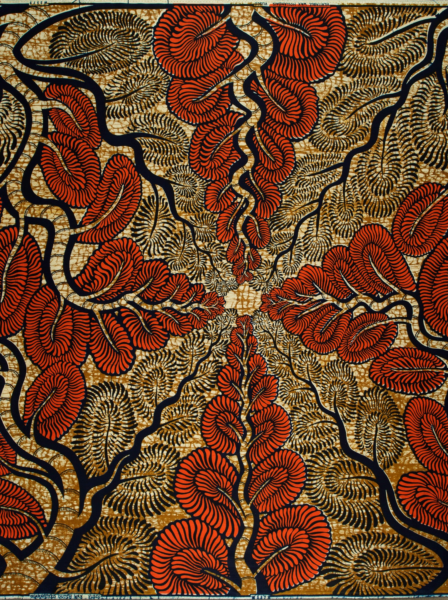 Wax Hollandais | VLW3579.007