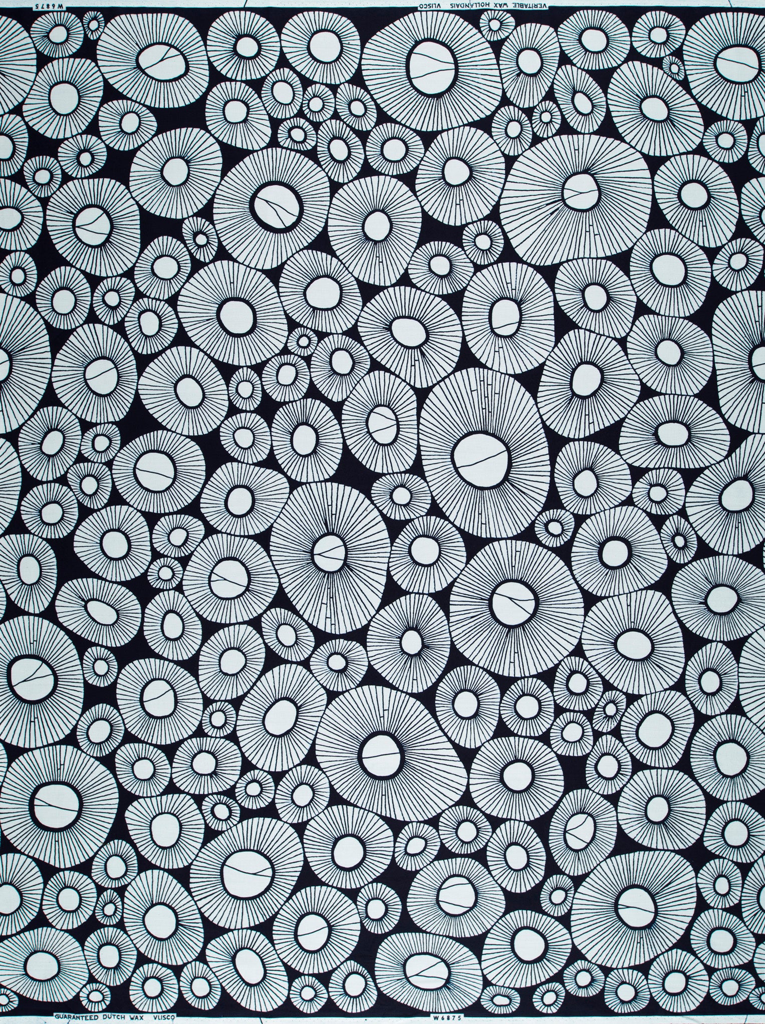 Wax Popeline | VLW6875.021