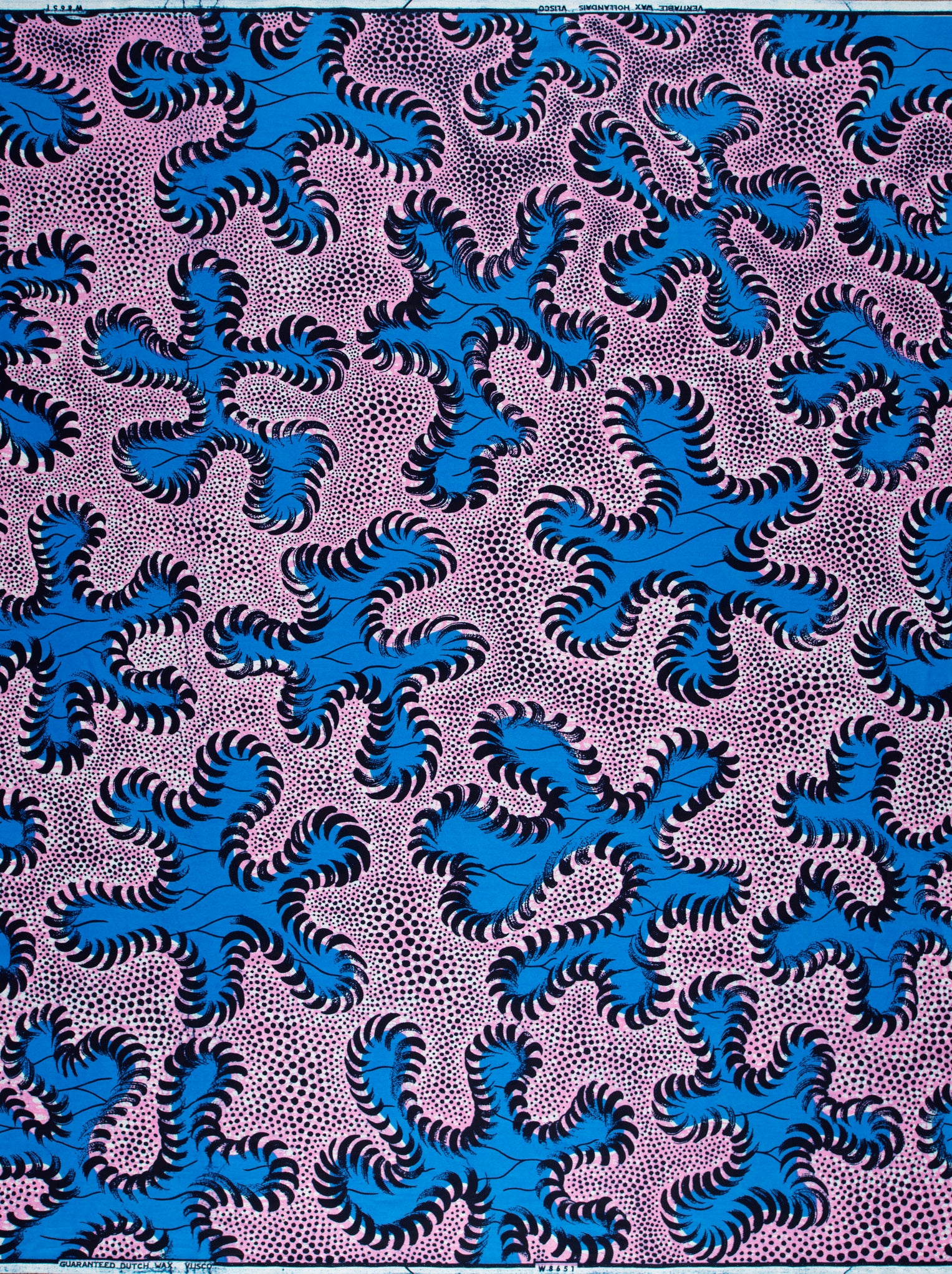 Wax Hollandais | VLW8651.003