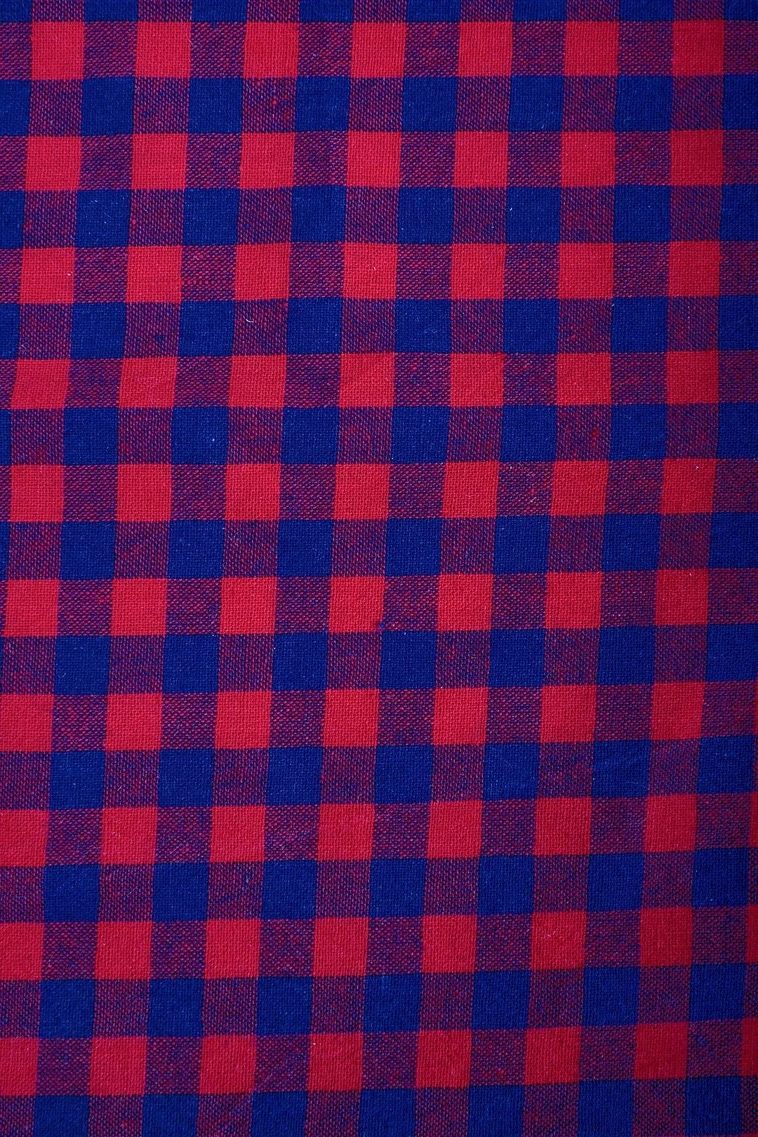Scough Red Gingham Bandana with Filter Crimson