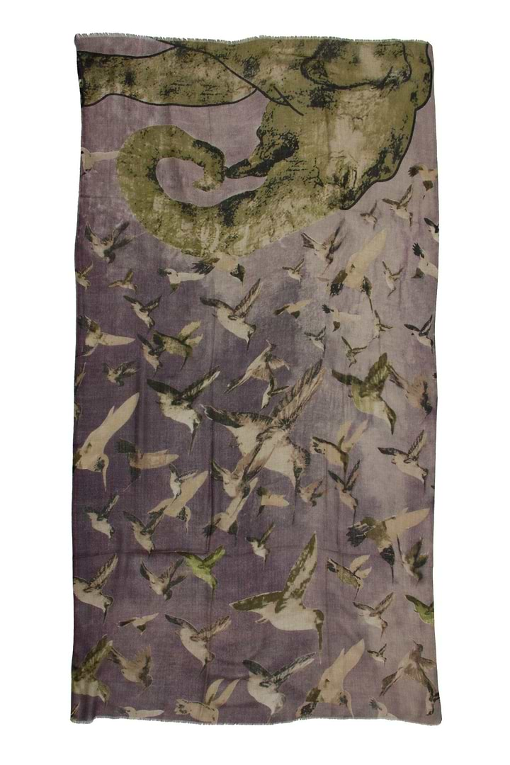 Hummingbird Printed Scarf