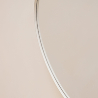 Ecru metal pond shaped irregular wall mirror closeup