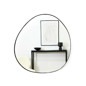 Black metal pond shaped irregular wall mirror