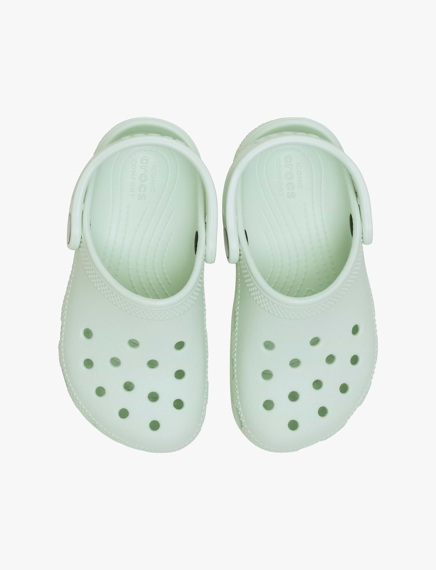 Crocs Classic Clog T - כפכפי קרוקס קלאסיים מידות קטנות לילדים