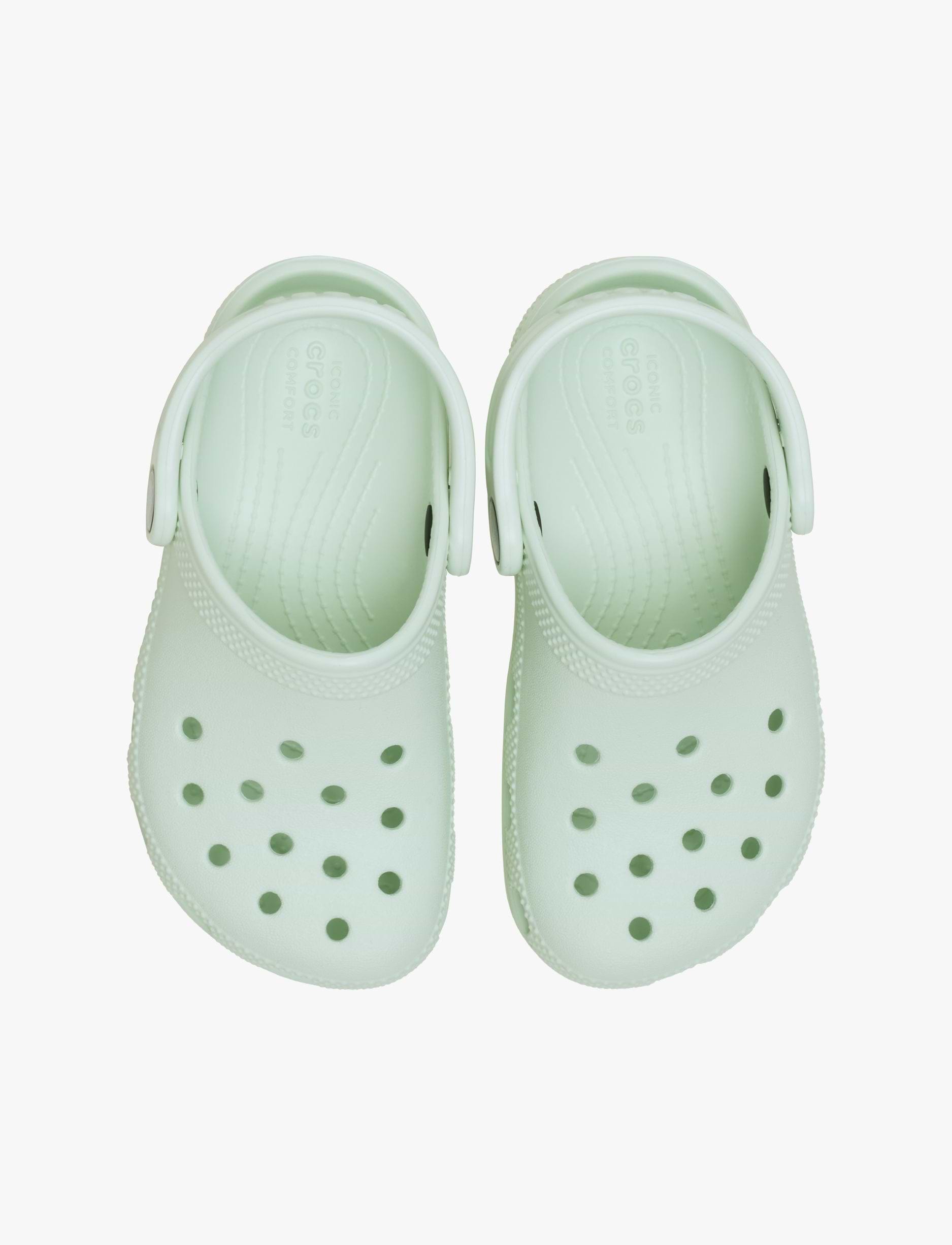 Crocs Classic Clog T - כפכפי קרוקס קלאסיים מידות קטנות לילדים