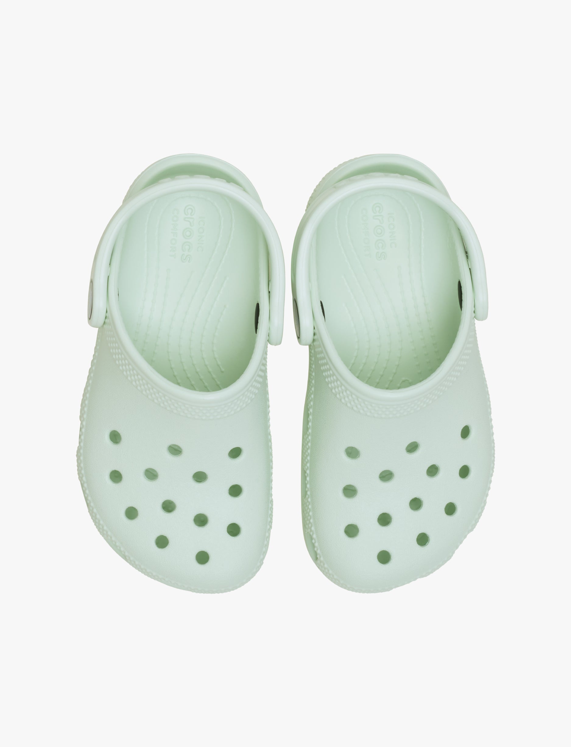 Crocs Classic Clog T - כפכפי קרוקס קלאסיים מידות קטנות לילדים