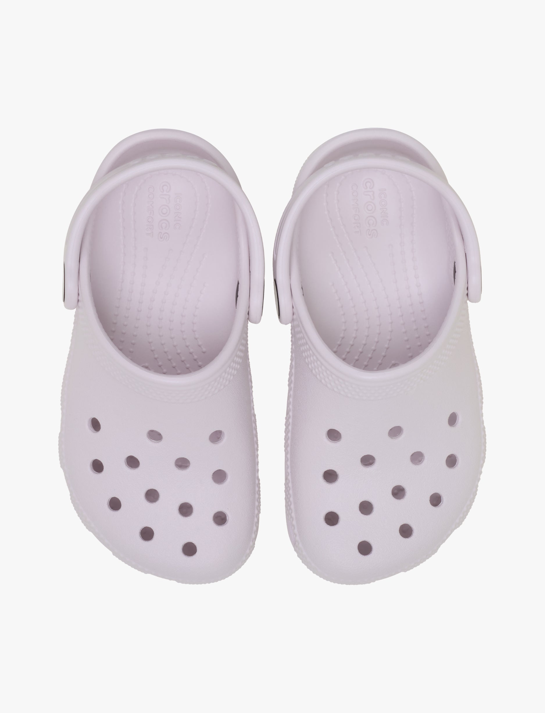Crocs Classic Clog T - כפכפי קרוקס קלאסיים מידות קטנות לילדים