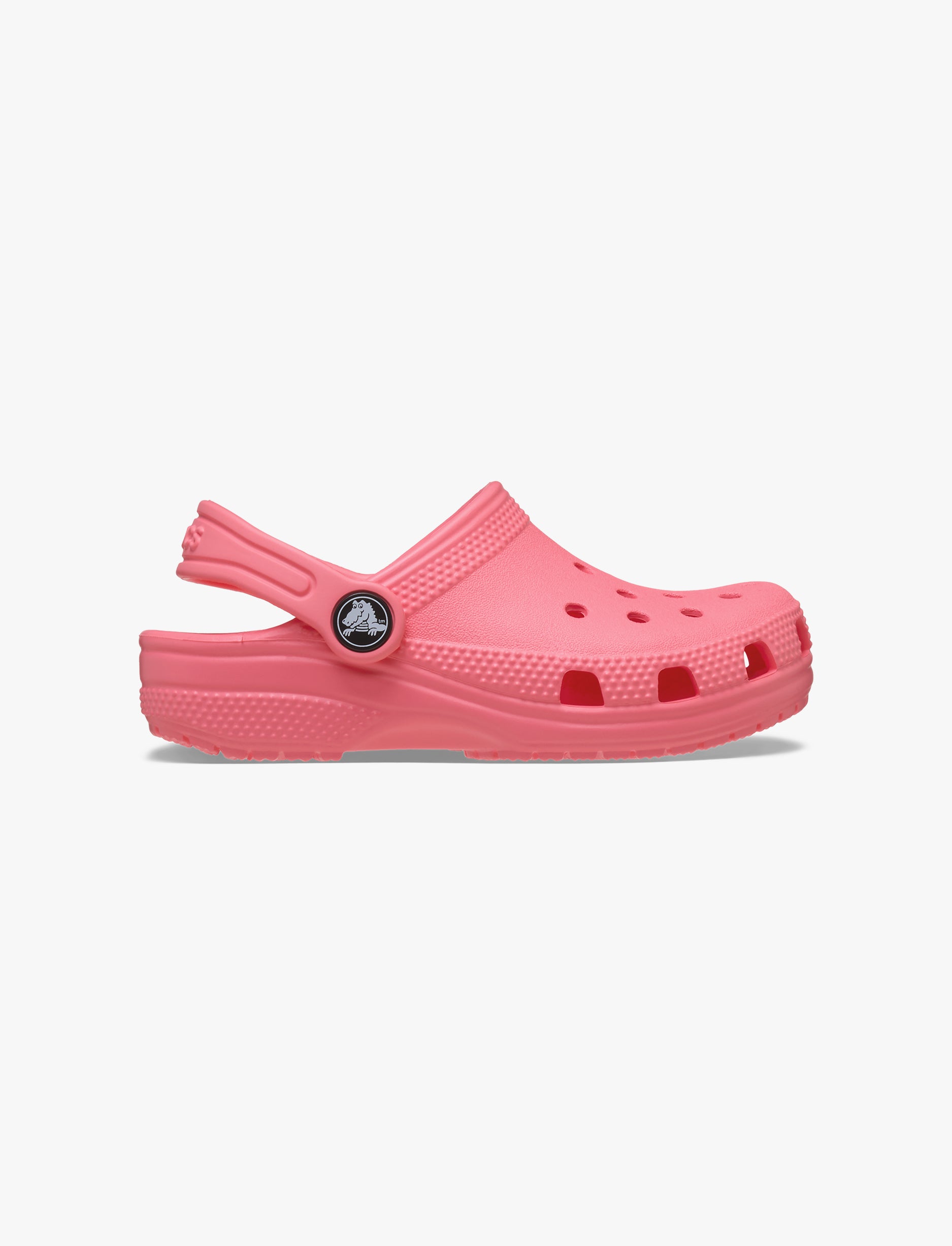 Crocs Classic Clog T - כפכפי קרוקס קלאסיים מידות קטנות לילדים