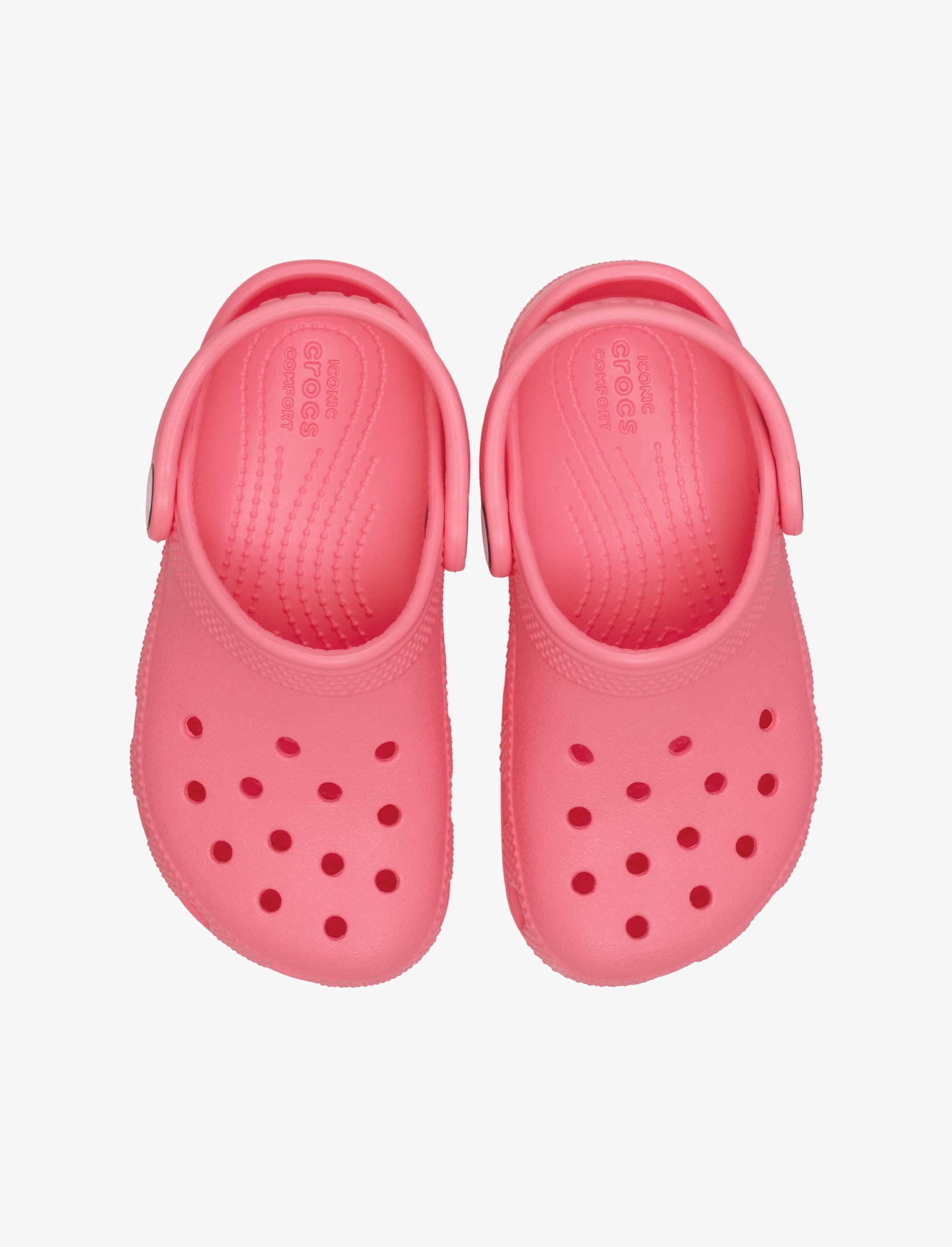 Crocs Classic Clog T - כפכפי קרוקס קלאסיים מידות קטנות לילדים