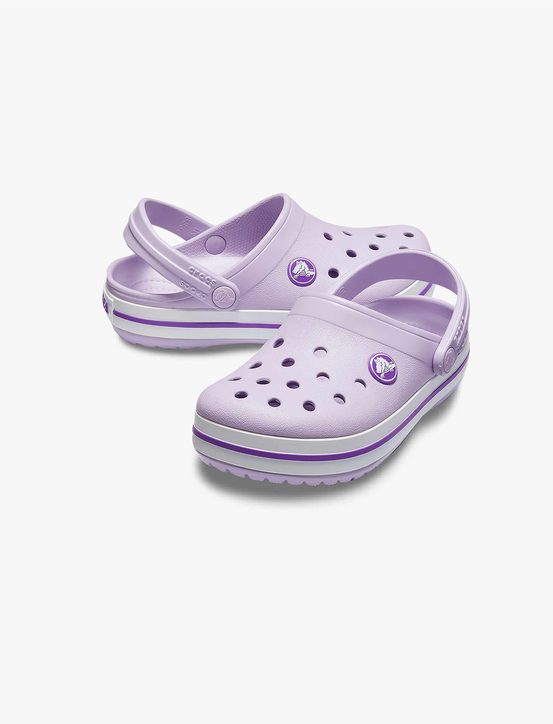 Crocs CrocBand Clog T - כפכפים לילדים קרוקס קרוקבנד בצבע לבנדר/סגול נאון מידות קטנות