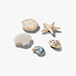 Crocs Gold Seashell - מארז 5 ג'יביטים קרוקס