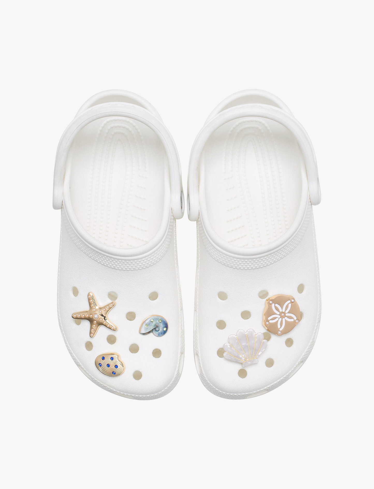 Crocs Gold Seashell - מארז 5 ג'יביטים קרוקס