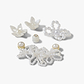 Crocs White Pearl Beaded - מארז 5 ג'יביטים קרוקס