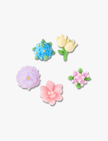 Crocs Beaded Flowers - מארז 5 ג'יביטים קרוקס