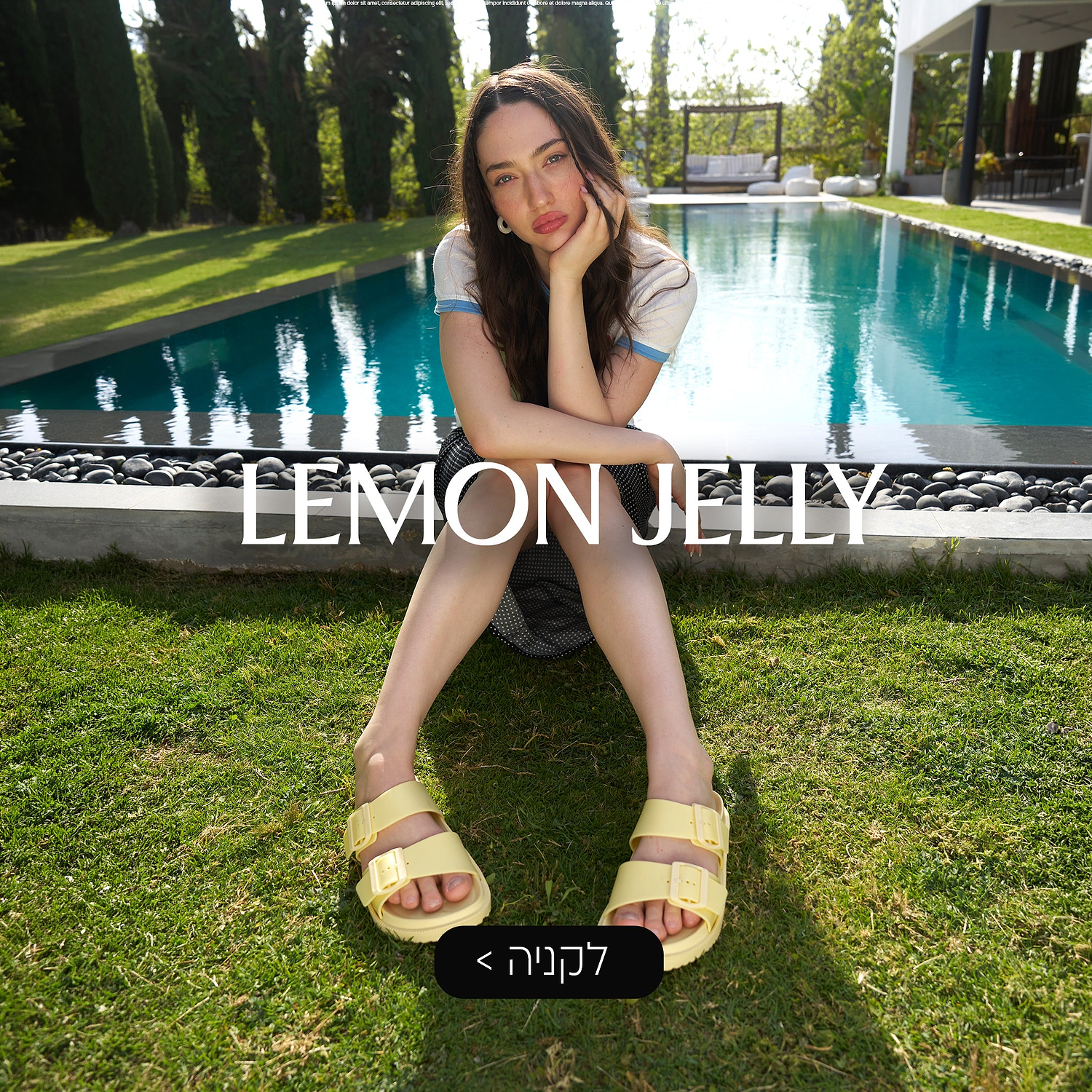 lemon jelly