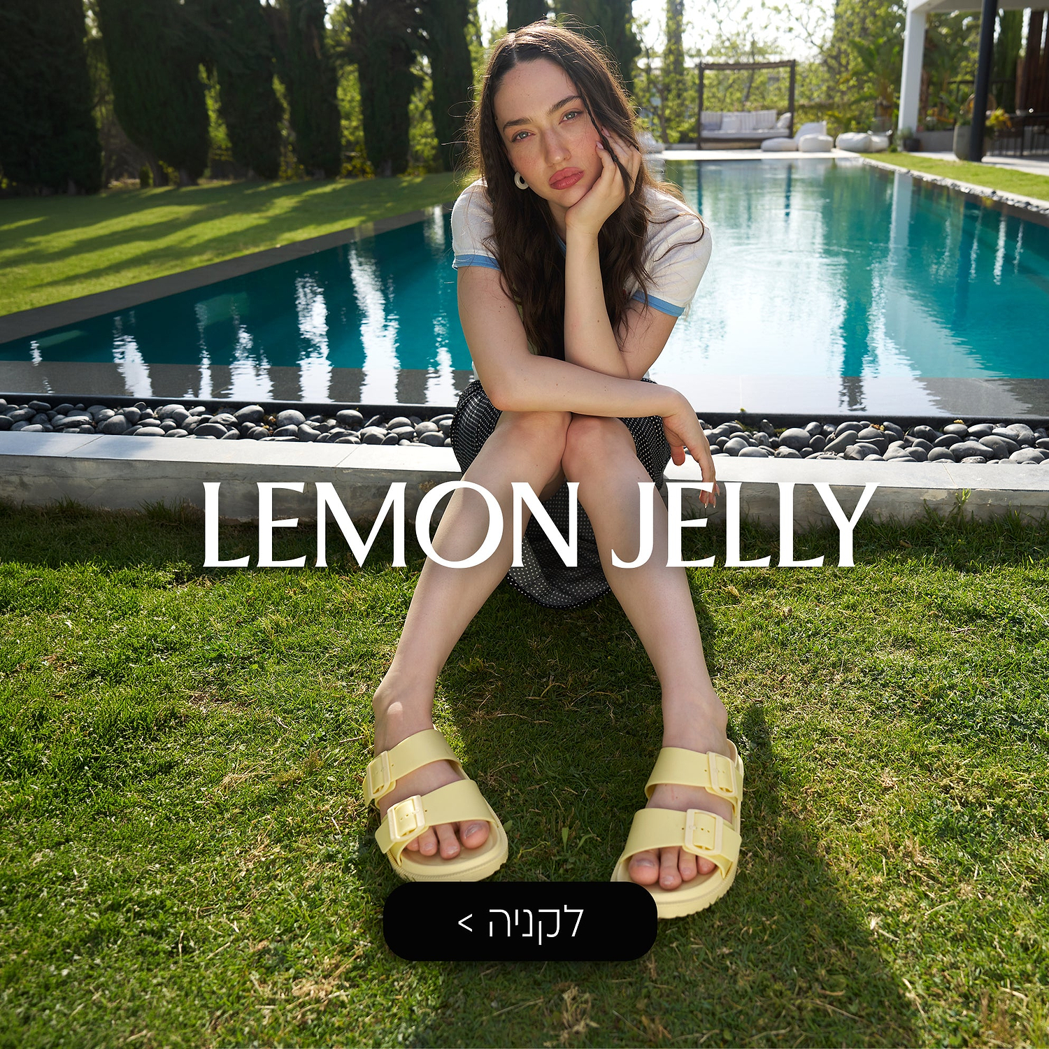 lemon jelly