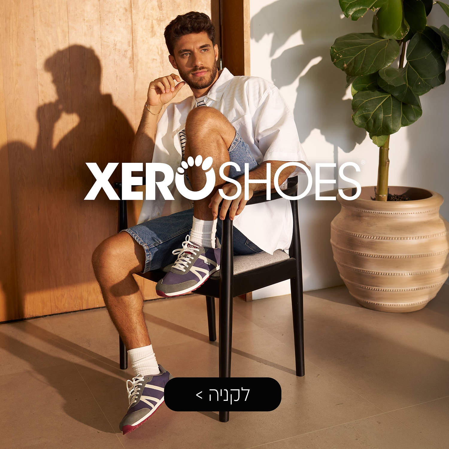 Xero