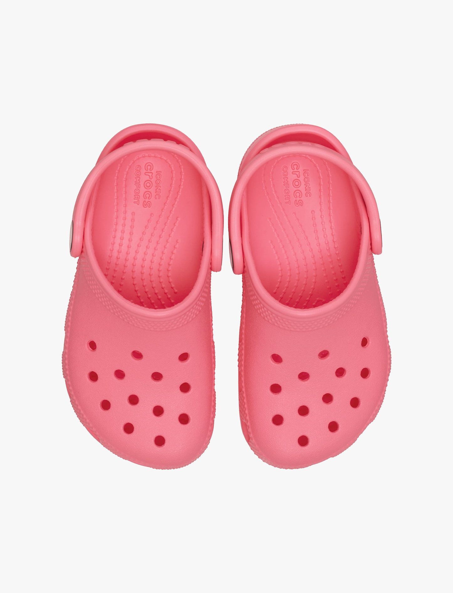 Crocs Classic Clog T - כפכפי קרוקס קלאסיים מידות קטנות לילדים