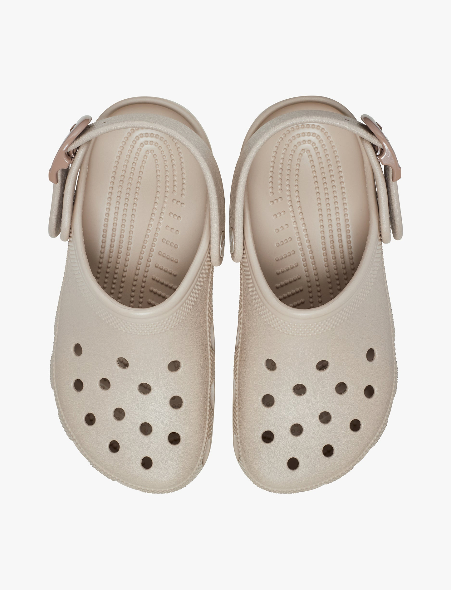 Crocs Classic Buckle Clog - כפכפי קלוג קרוקס עם אבזם בצבע דולסה