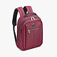 Delsey Pin Up 6 Backpack - תיק גב דלסי  6