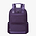 Delsey Legere Backpack 3727600 - תיק גב דלסי 15.6 אינץ' בצבע סגול