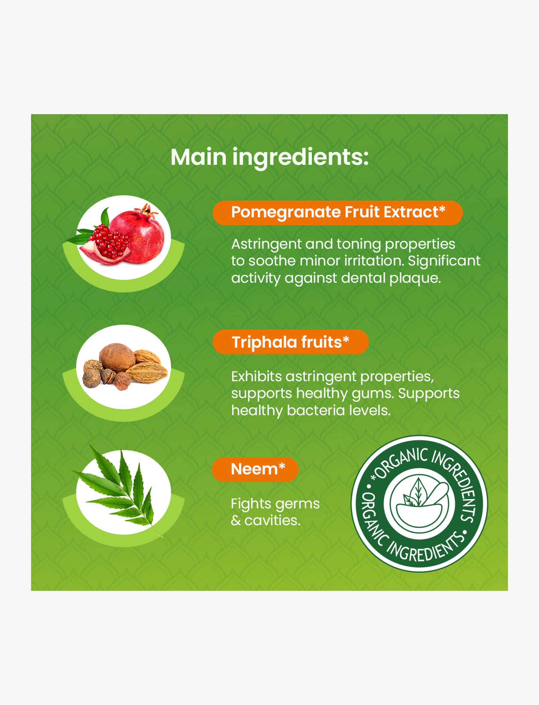 Himalaya - משחת שיניים בוטנית להגנה מושלמת מנטה 75 מ"ל