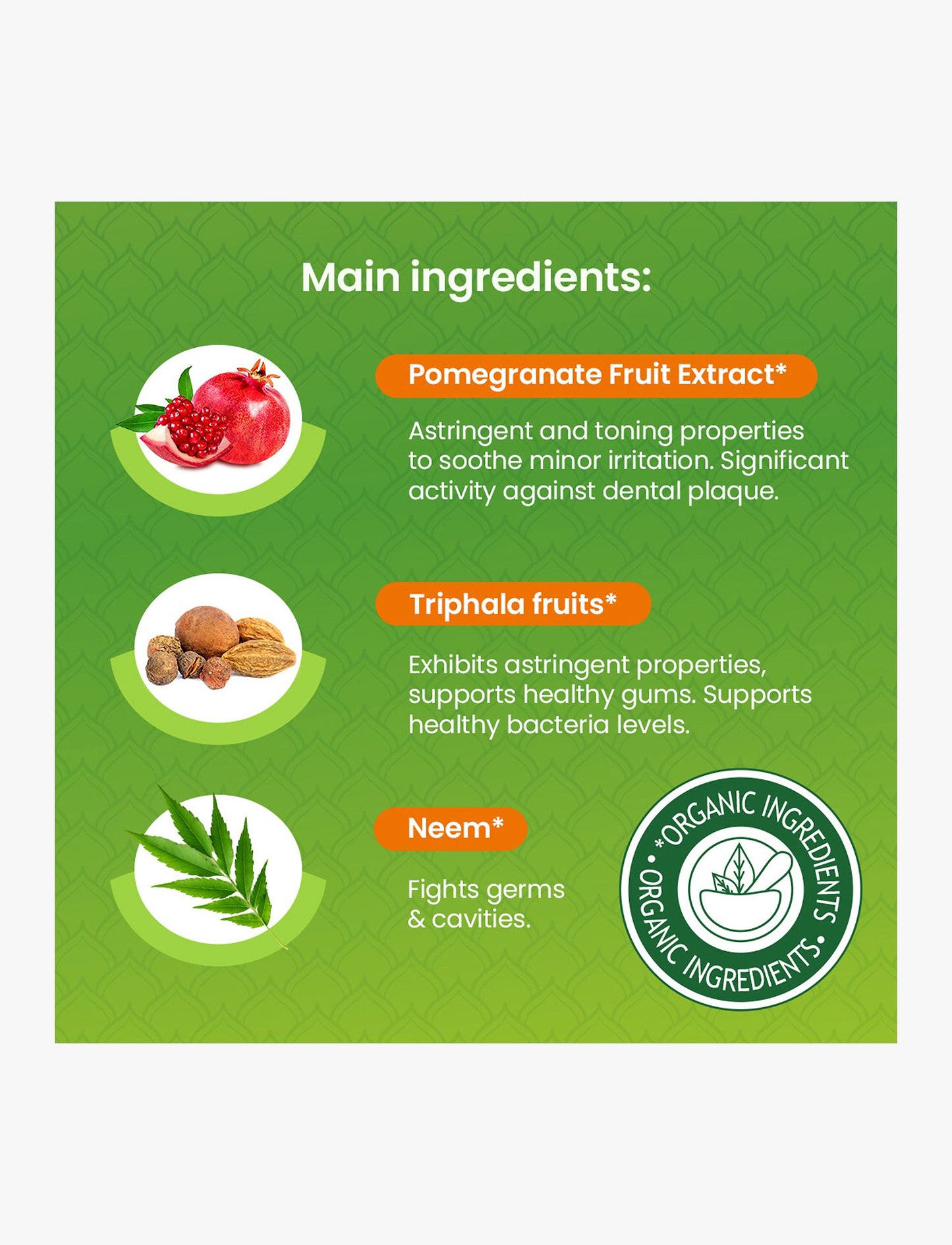 Himalaya - משחת שיניים בוטנית להגנה מושלמת מנטה 75 מ"ל