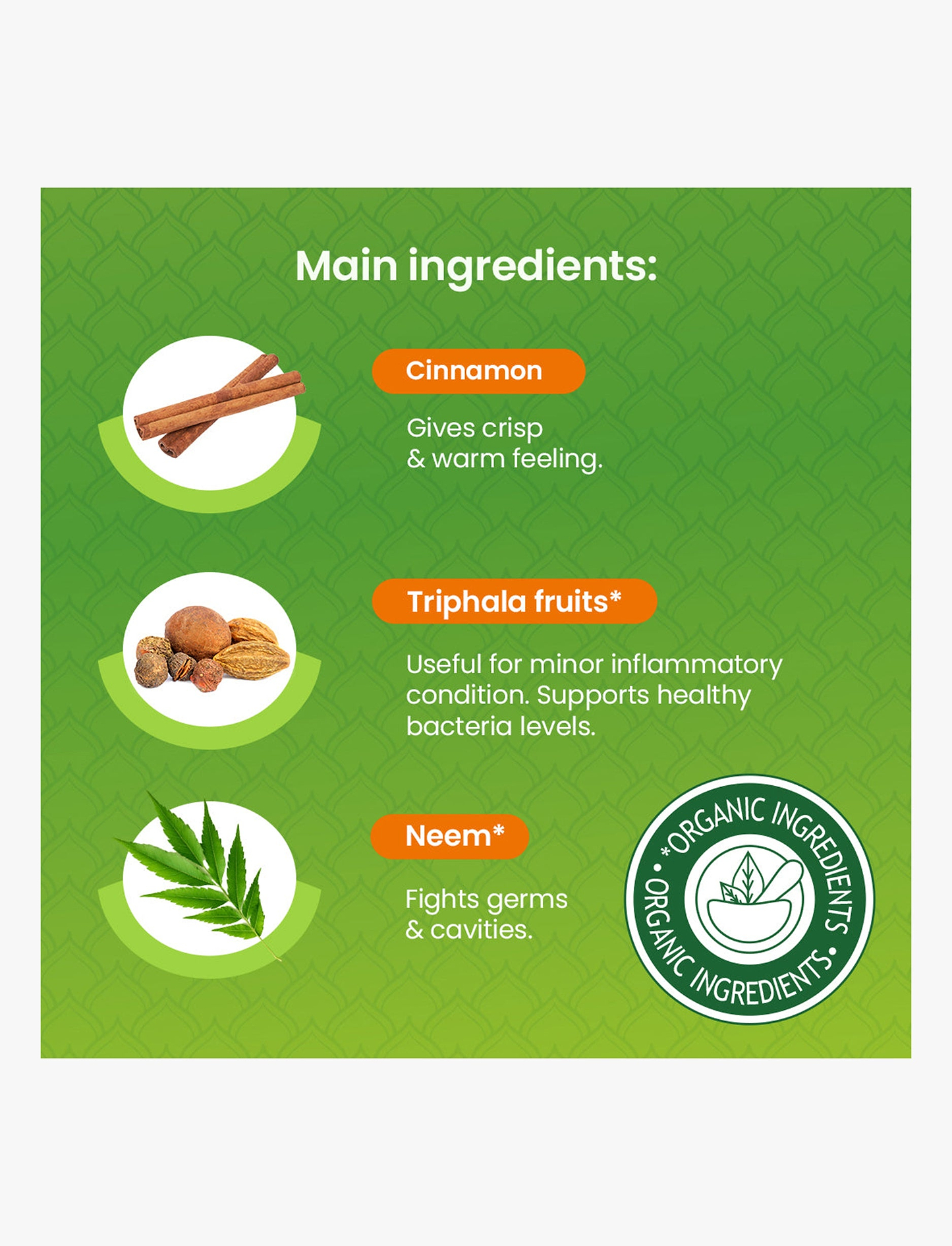 Himalaya - משחת שיניים בוטנית להגנה מושלמת קינמון 75 מ"ל