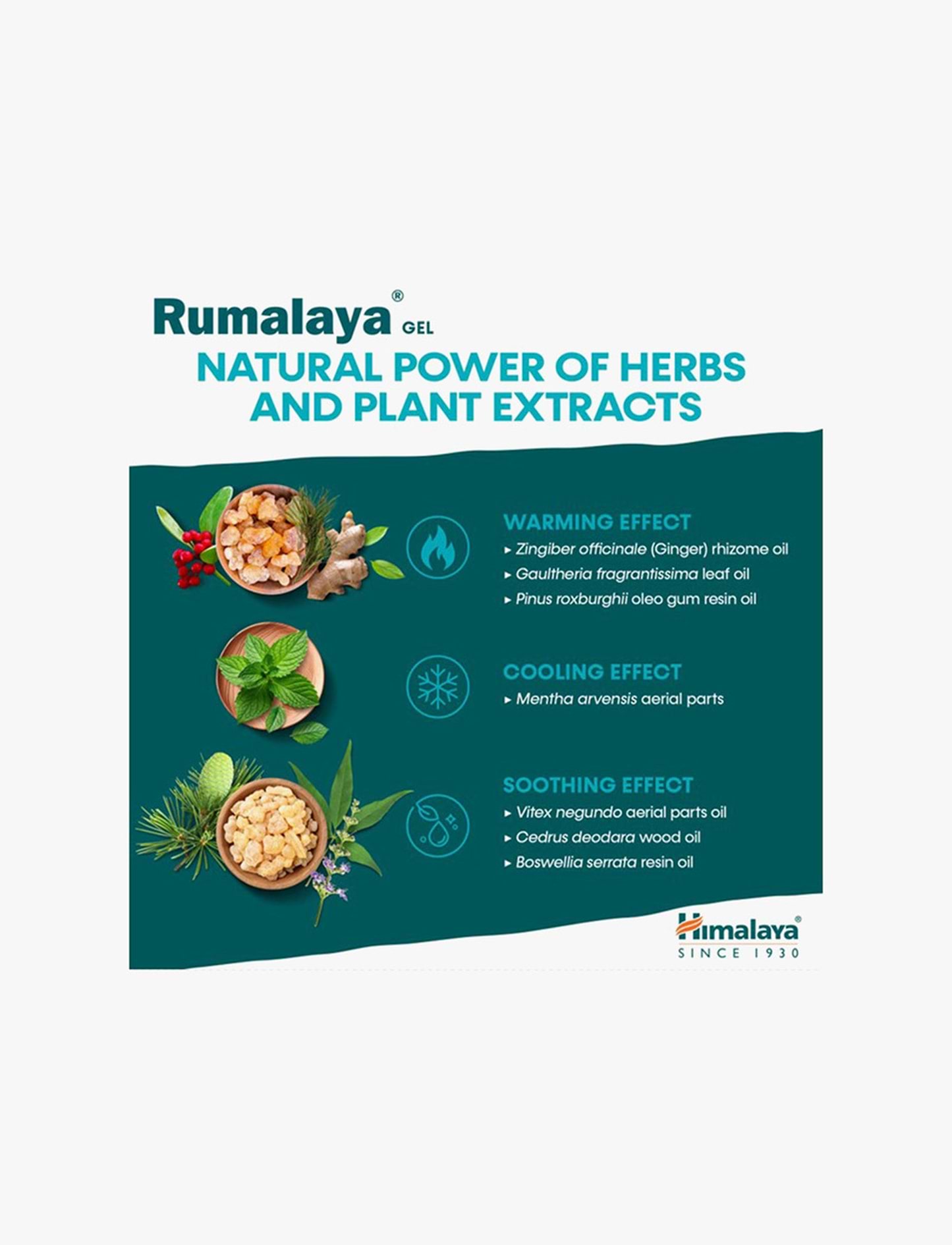 Himalaya Rumalaya Gel - ג'ל רומלאיה 50 גרם