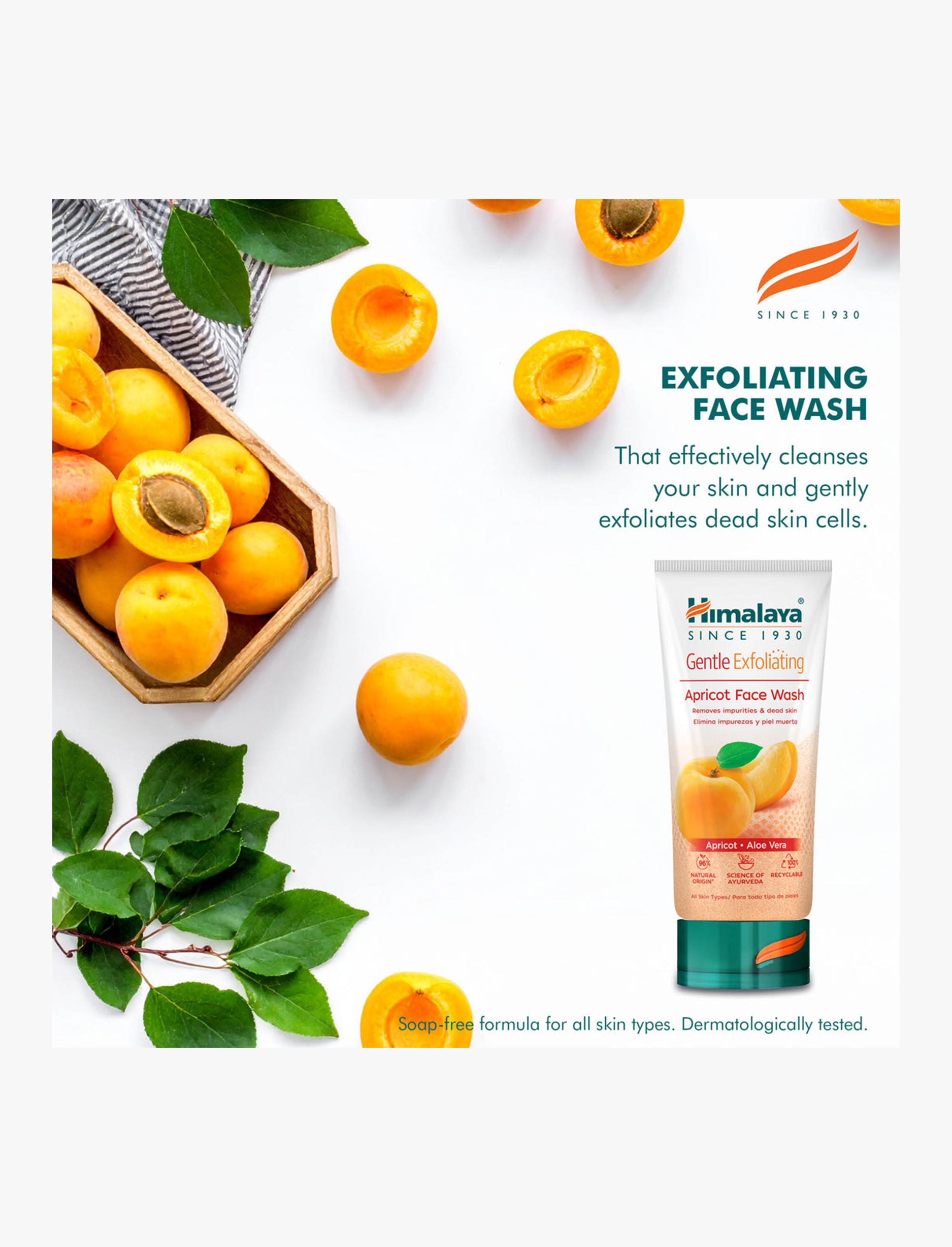 Himalaya - פילינג יומי לפנים 150 מ"ל