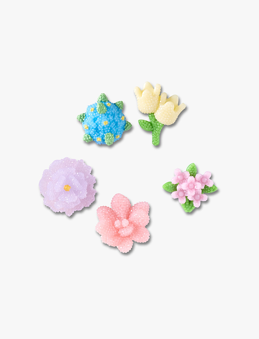 Crocs Beaded Flowers - מארז 5 ג'יביטים קרוקס