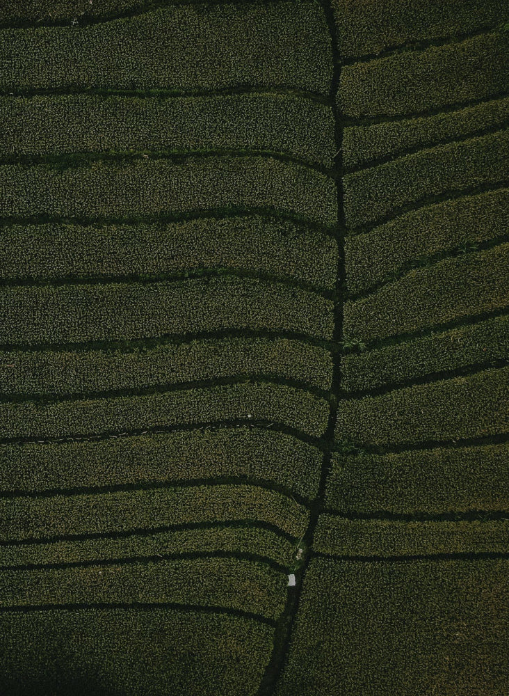 Gesundheit geht über uns hinaus