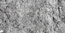 mybacs product ingredient