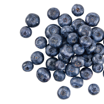 Blueberry extract