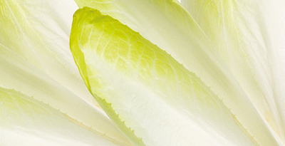 Inulin