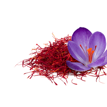 Safran extract