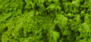 mybacs product ingredient