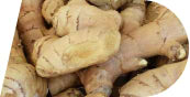 mybacs product ingredient