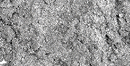 mybacs product ingredient