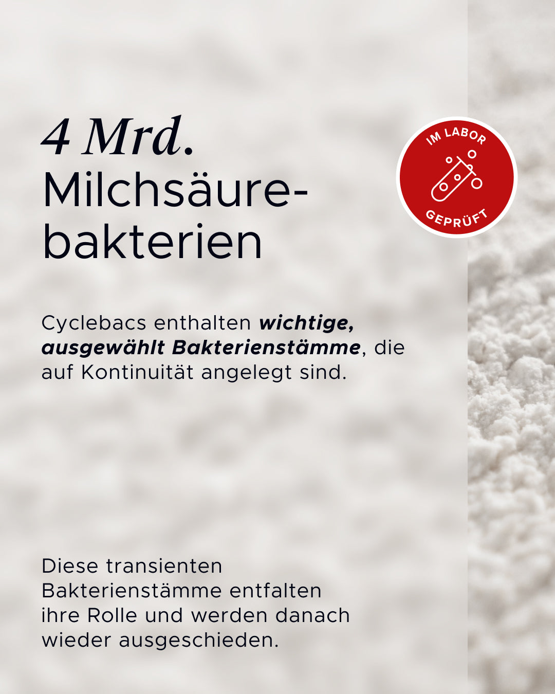 Cyclebacss