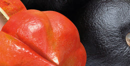 mybacs product ingredient